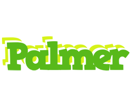 Palmer picnic logo