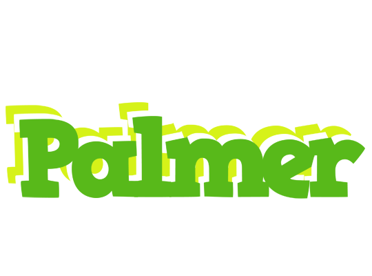 Palmer picnic logo
