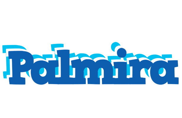 Palmira business logo