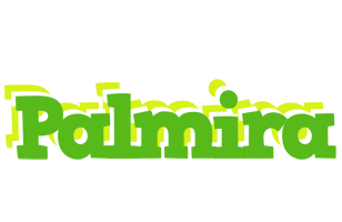 Palmira picnic logo