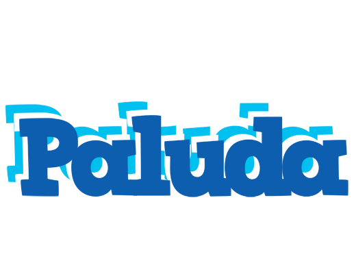 Paluda business logo