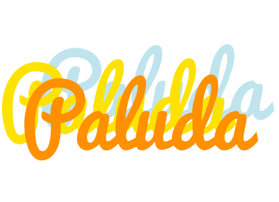 Paluda energy logo