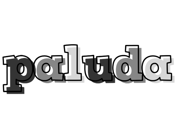 Paluda night logo