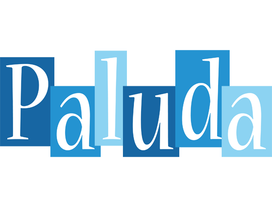 Paluda winter logo