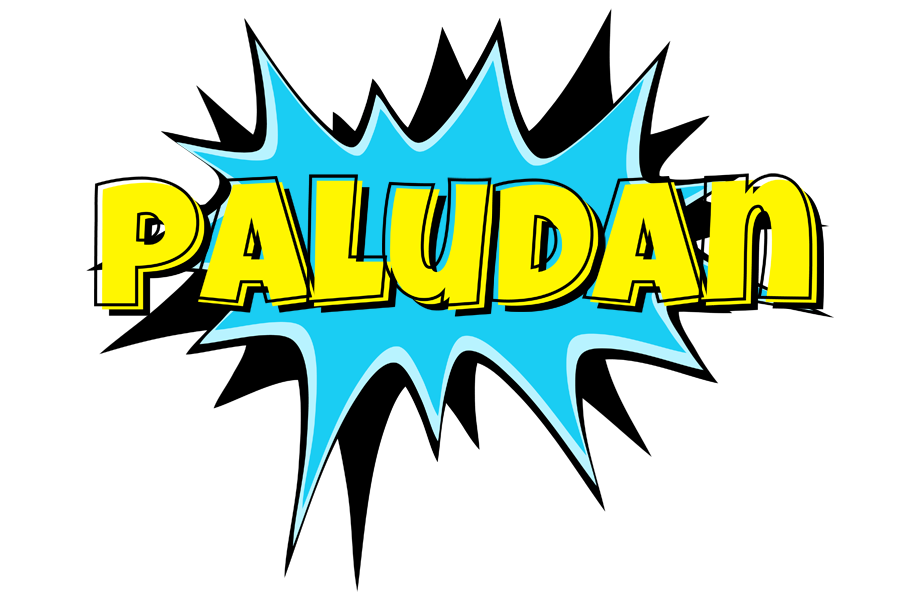 Paludan amazing logo