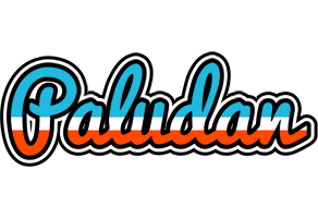 Paludan america logo