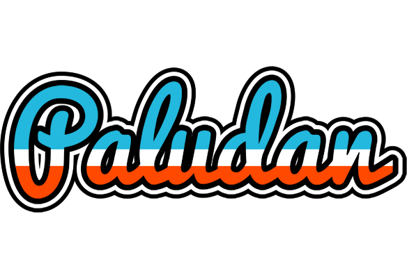 Paludan america logo