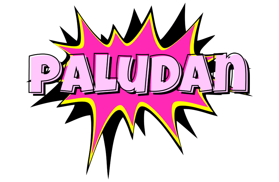 Paludan badabing logo