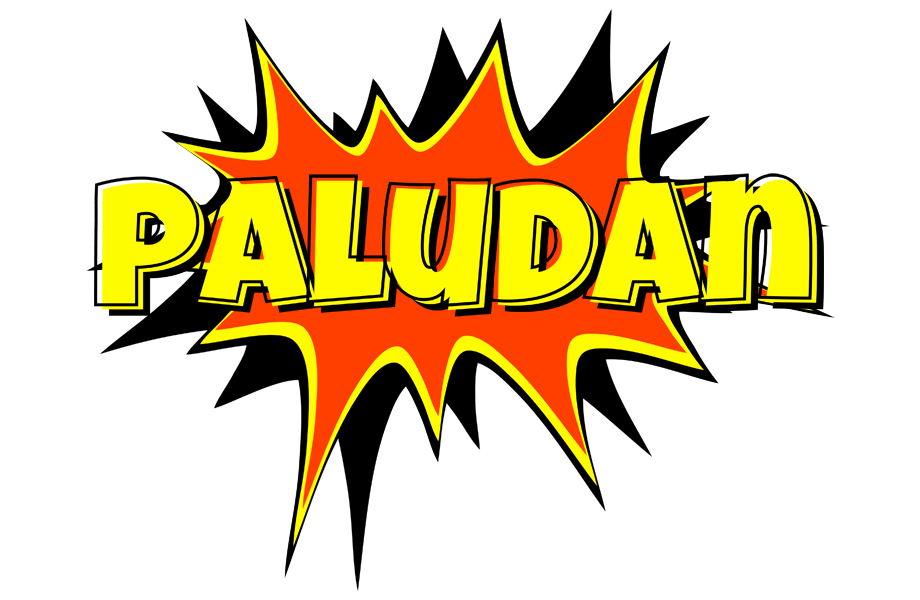 Paludan bazinga logo