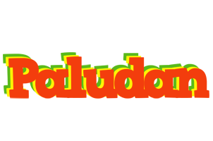 Paludan bbq logo