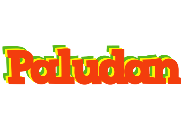 Paludan bbq logo