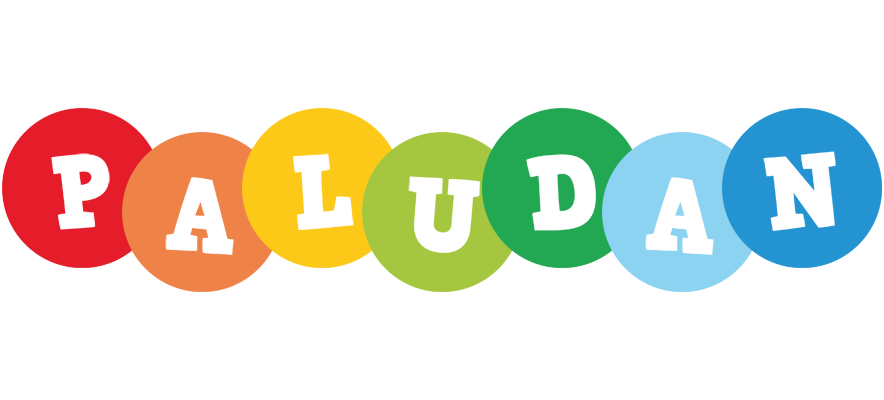Paludan boogie logo