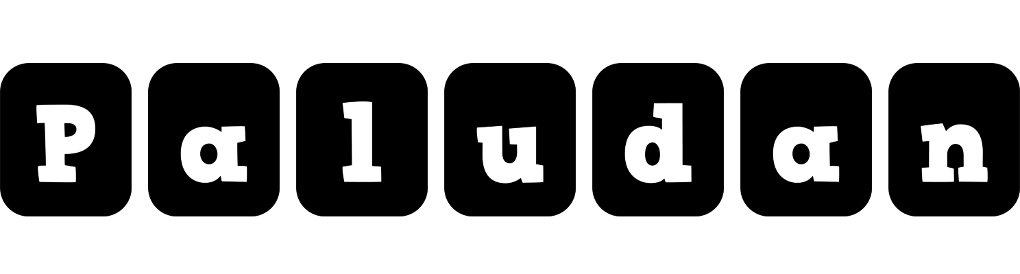 Paludan box logo