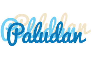 Paludan breeze logo