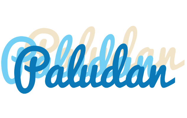 Paludan breeze logo
