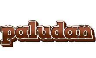 Paludan brownie logo