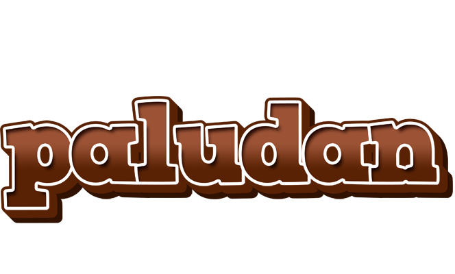 Paludan brownie logo