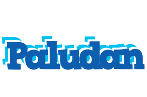 Paludan business logo