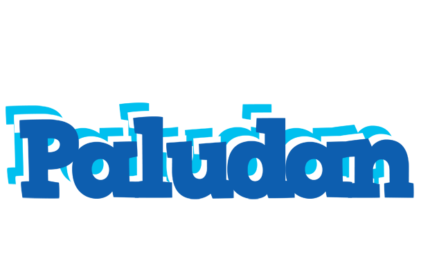 Paludan business logo