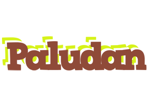 Paludan caffeebar logo