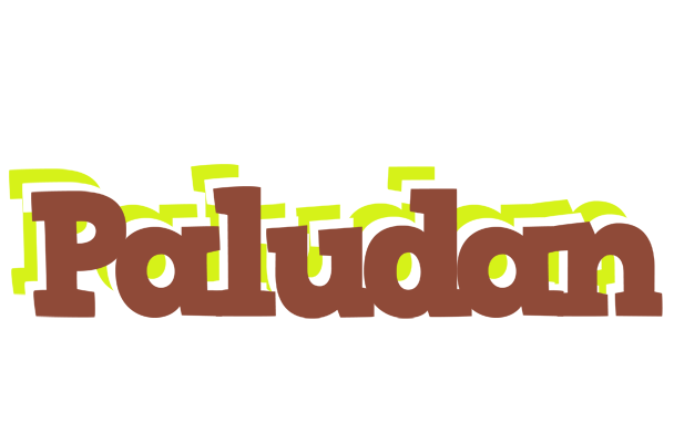 Paludan caffeebar logo