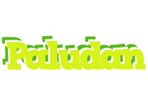 Paludan citrus logo