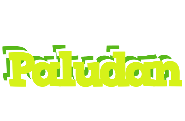 Paludan citrus logo