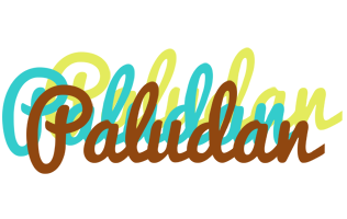 Paludan cupcake logo