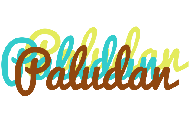 Paludan cupcake logo