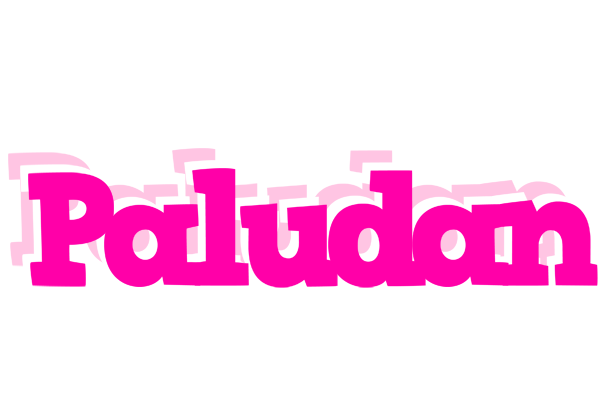Paludan dancing logo