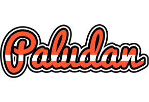 Paludan denmark logo