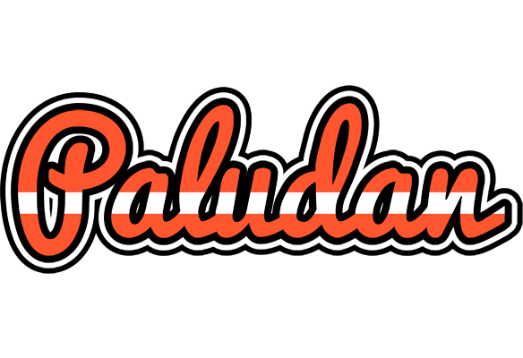 Paludan denmark logo