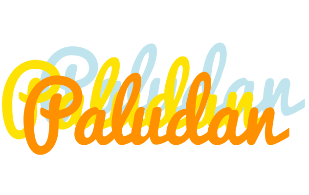 Paludan energy logo