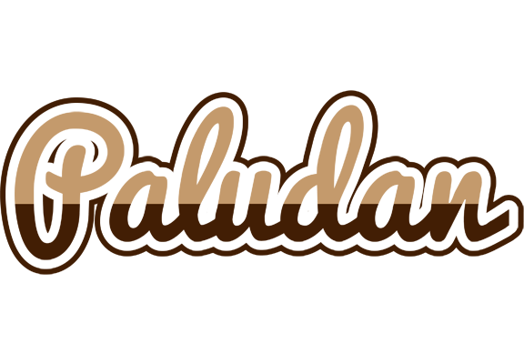 Paludan exclusive logo