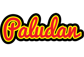 Paludan fireman logo