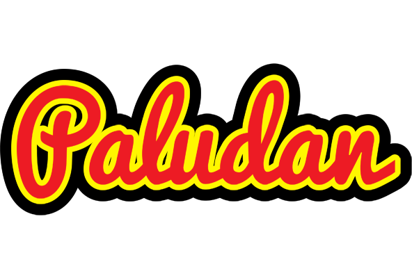 Paludan fireman logo
