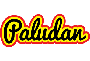 Paludan flaming logo