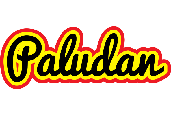 Paludan flaming logo