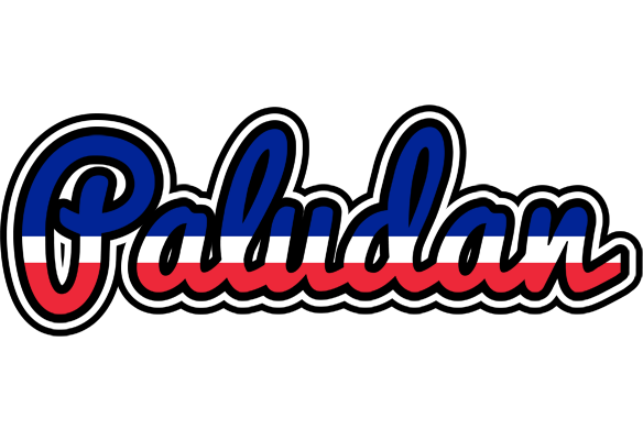 Paludan france logo