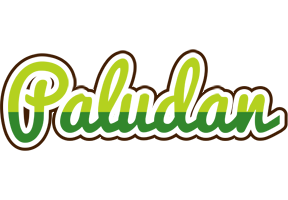 Paludan golfing logo