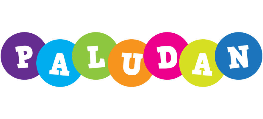 Paludan happy logo