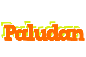 Paludan healthy logo