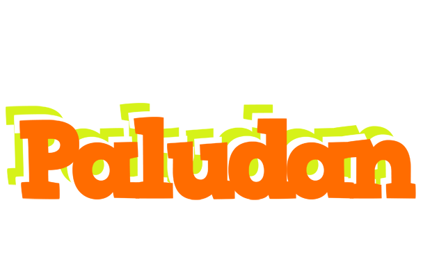 Paludan healthy logo
