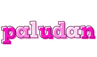 Paludan hello logo