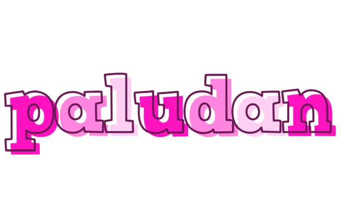 Paludan hello logo