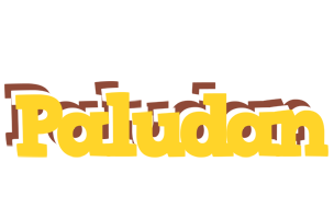 Paludan hotcup logo