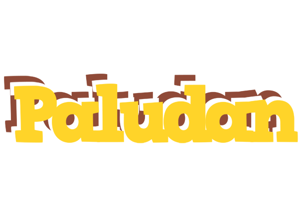 Paludan hotcup logo