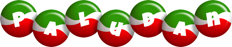 Paludan italy logo