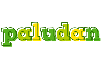 Paludan juice logo