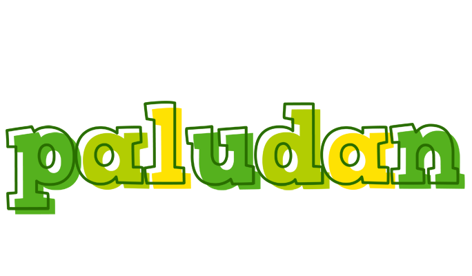Paludan juice logo